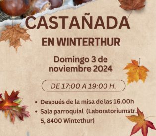 Castañada en Winterthur